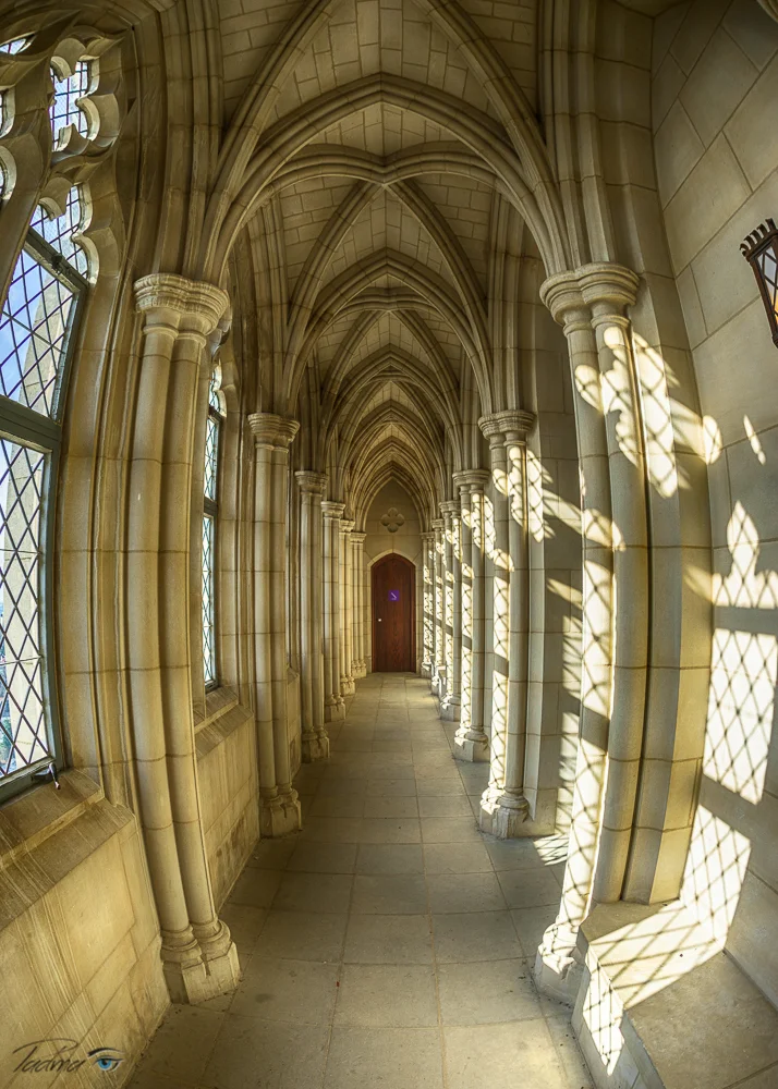 16-02-06-NatCathedral-246-HDR-Edit-Web.jpg