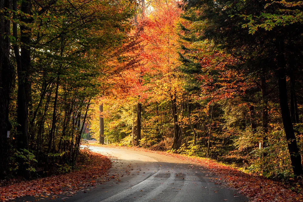16-10-19-RickettsGlen-007-Edit-Web.jpg