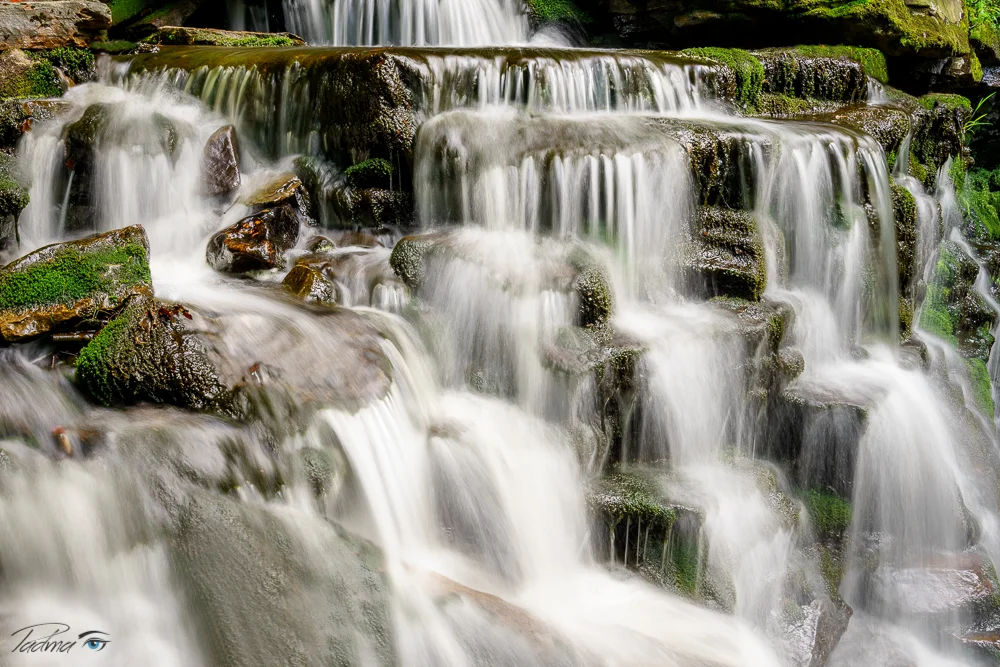 16-05-30-Ricketts-475-Edit-Web.jpg
