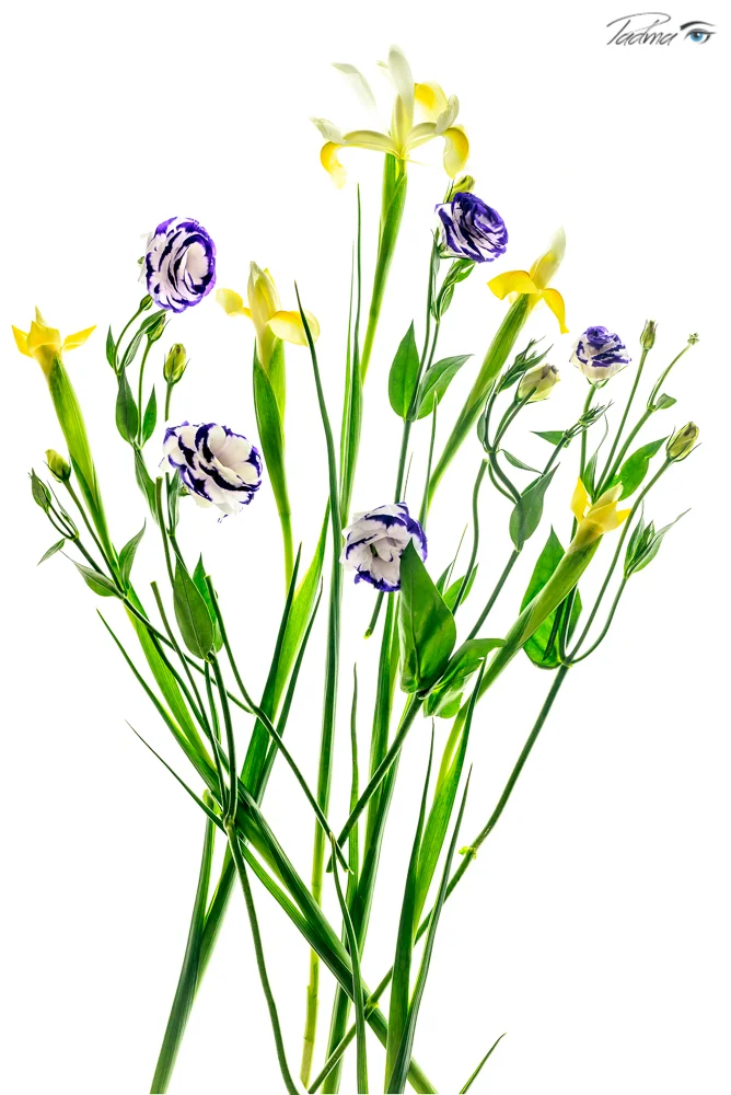 Potpourri of Flowers