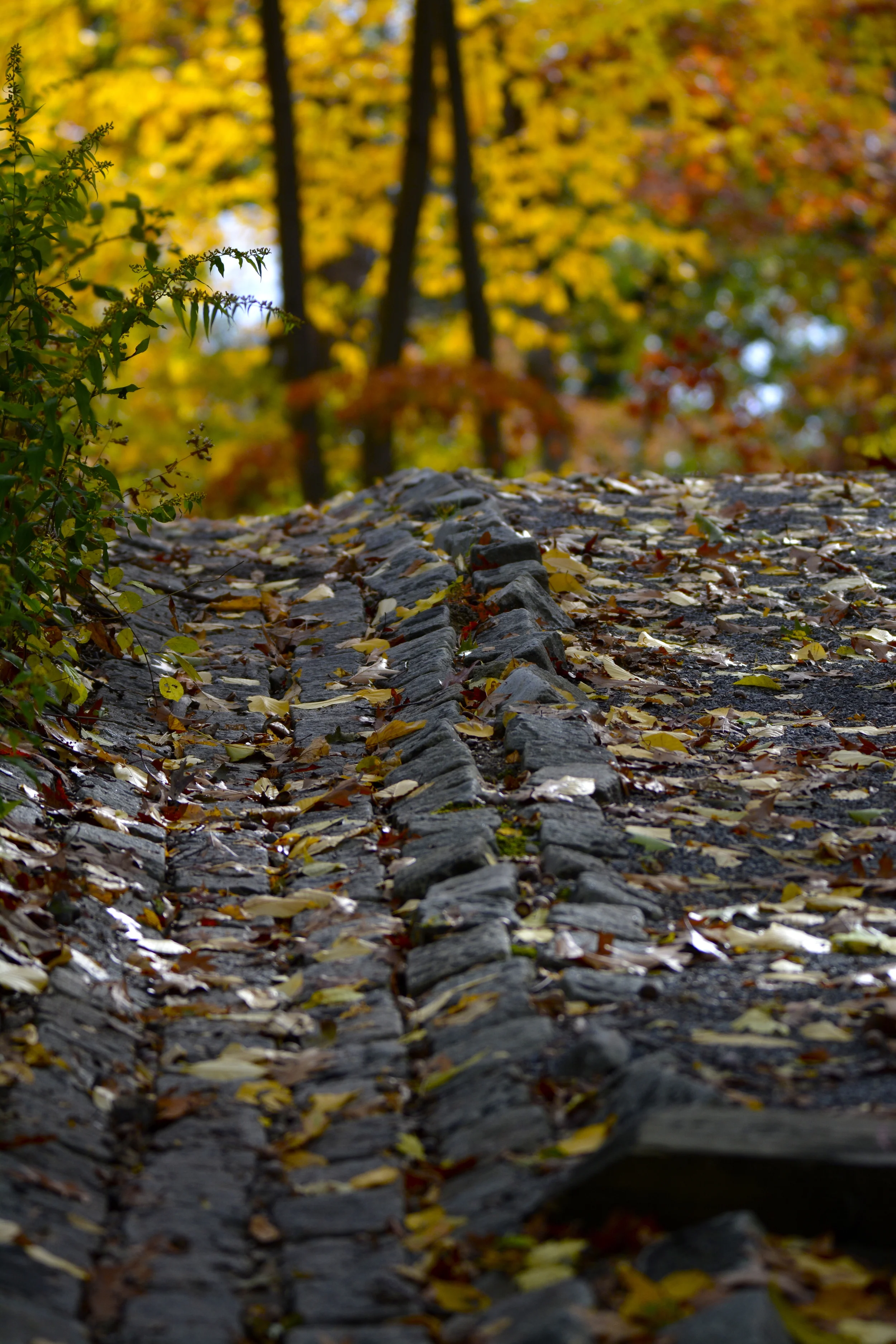      

 
   What a whirlwind two weeks....&nbsp; Feels like I've not sat still for an hour.&nbsp; My photography business is an 80-hour-a-week experience, and I wouldn't want it any other way.&nbsp; I continue to meet amazing folks, and I get to phot