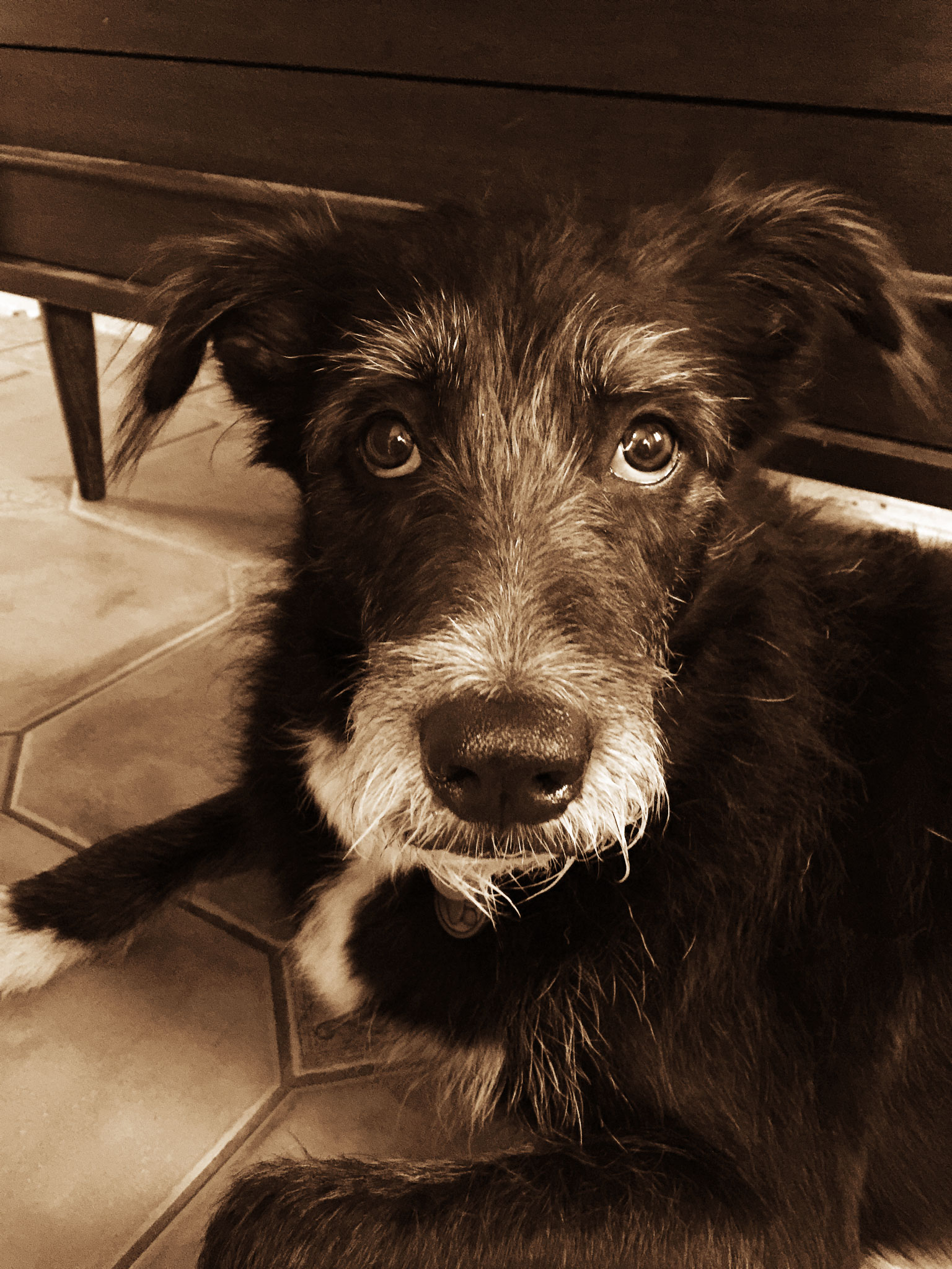 Finn_3-copy.jpg