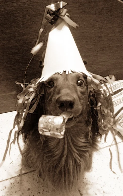 birthday-dog-sepia.jpg