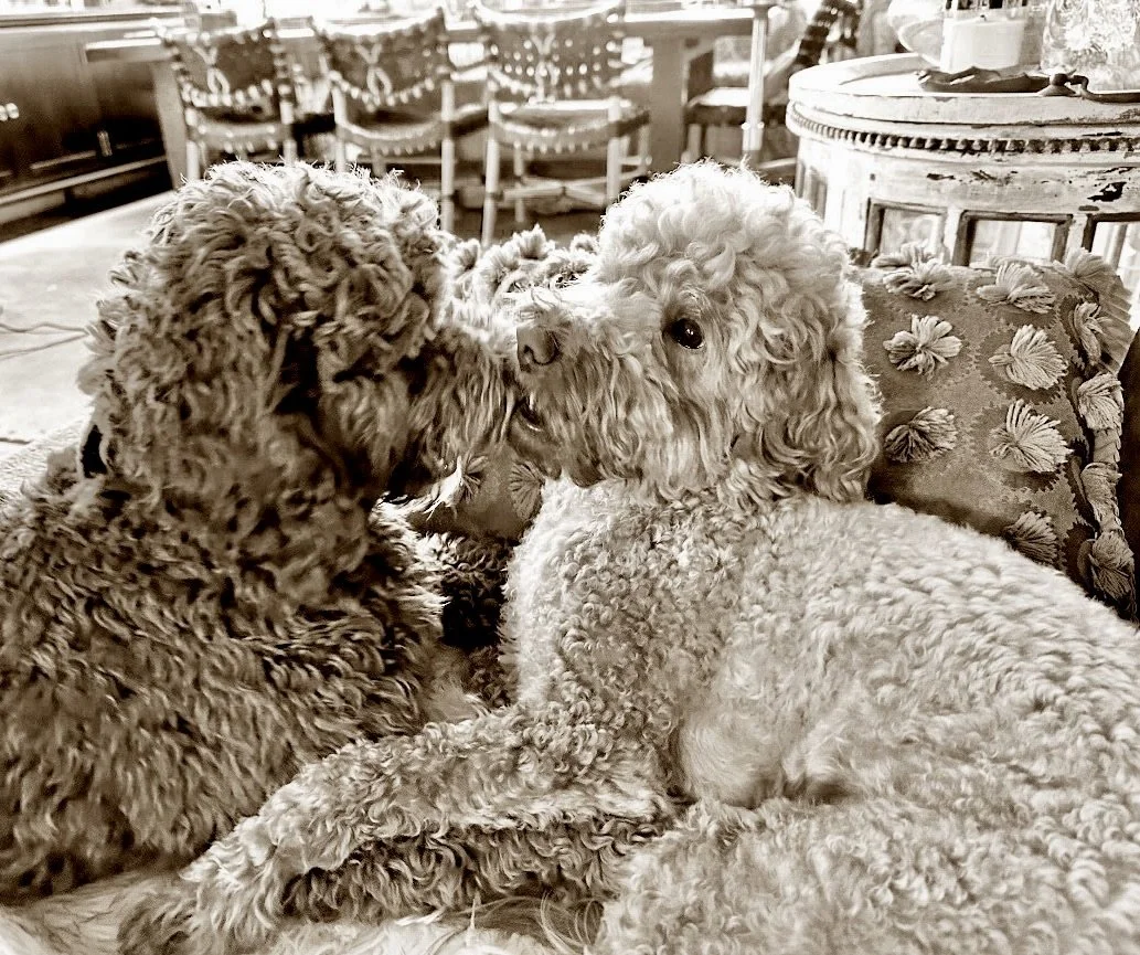 Fig and Jagger