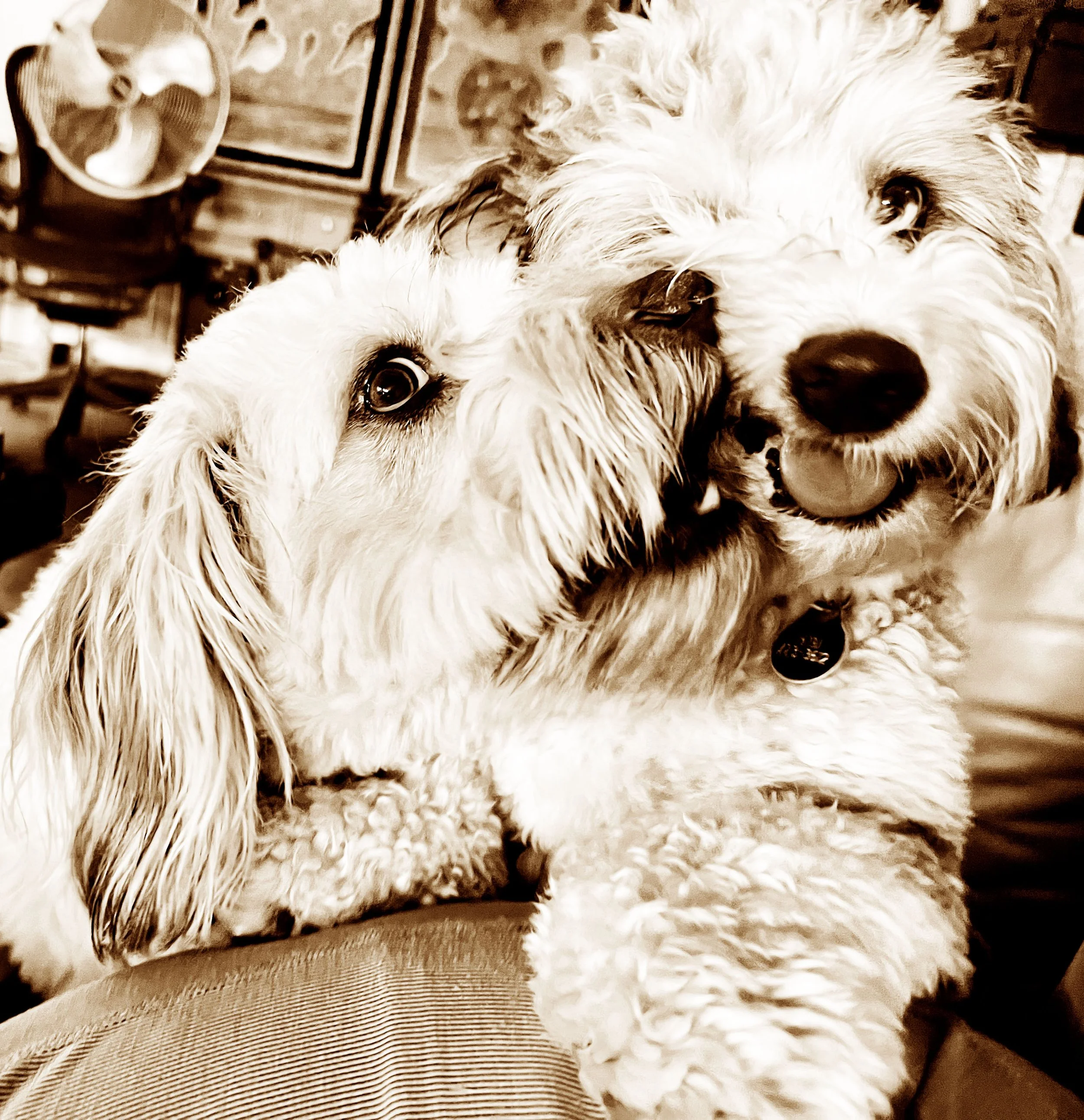 Coco & Pali.jpg