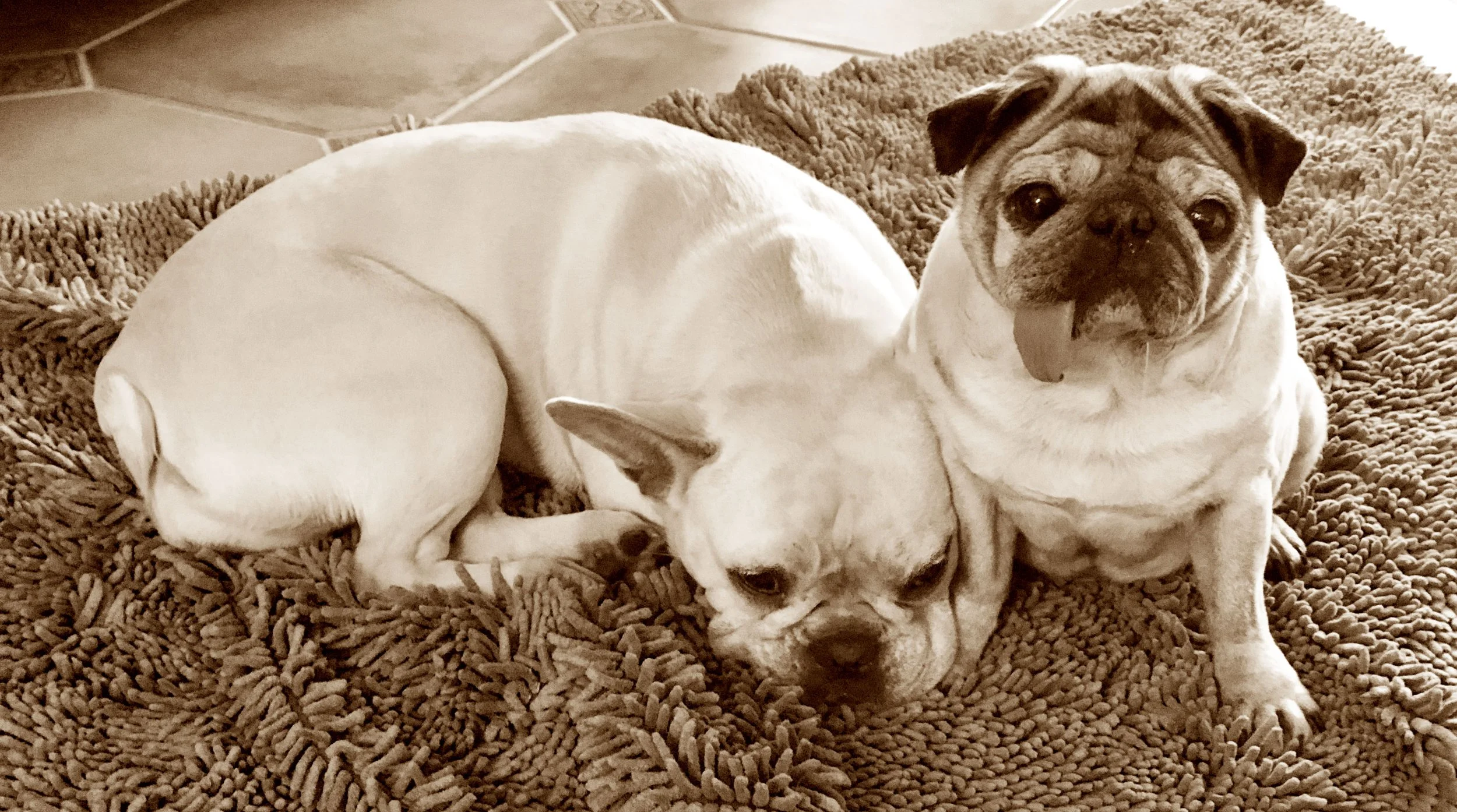 Matilda & Hazel.jpg