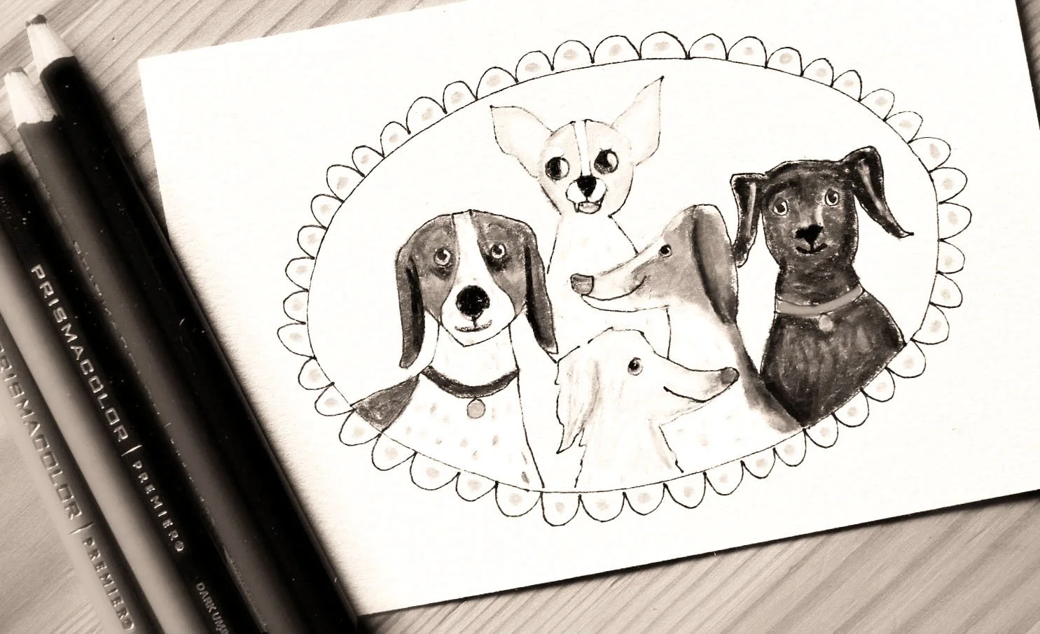 pack drawing 2.jpg