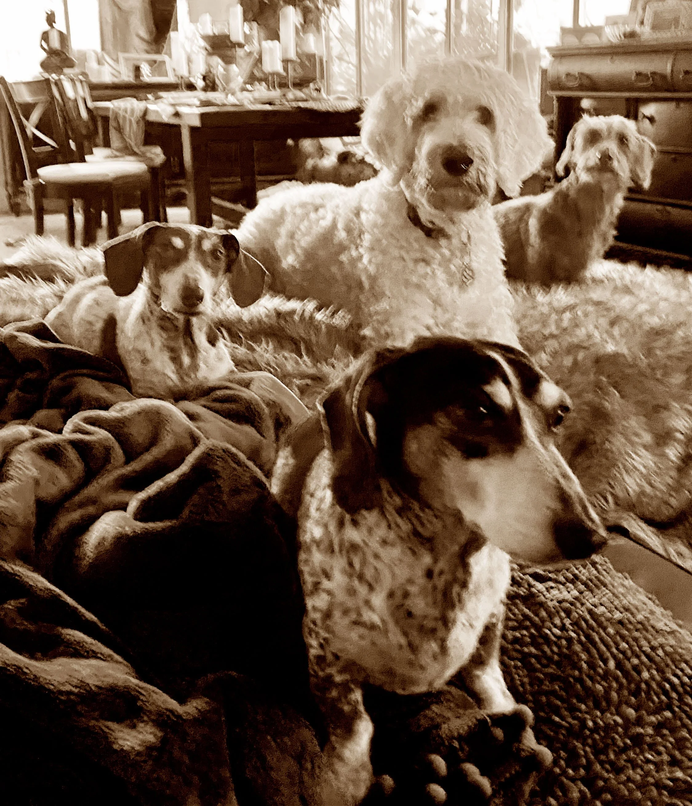 Lilah & Littles.jpg