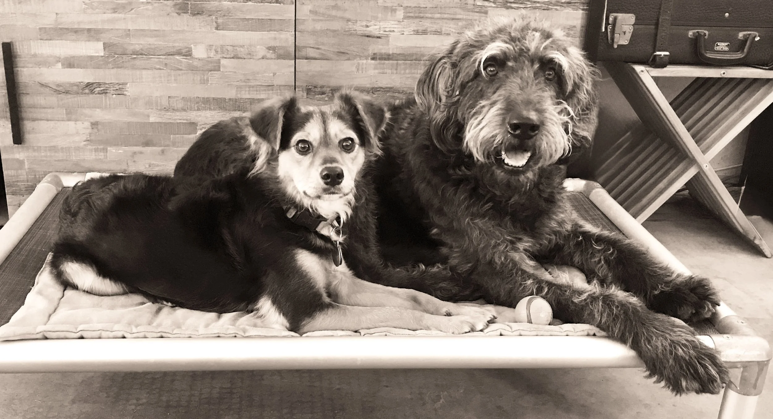 April & Milton.jpg