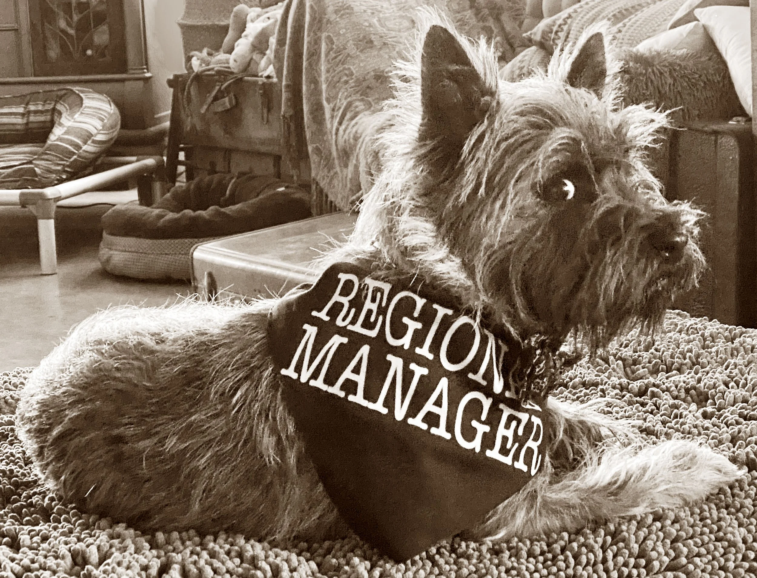 Reg Manager.jpg
