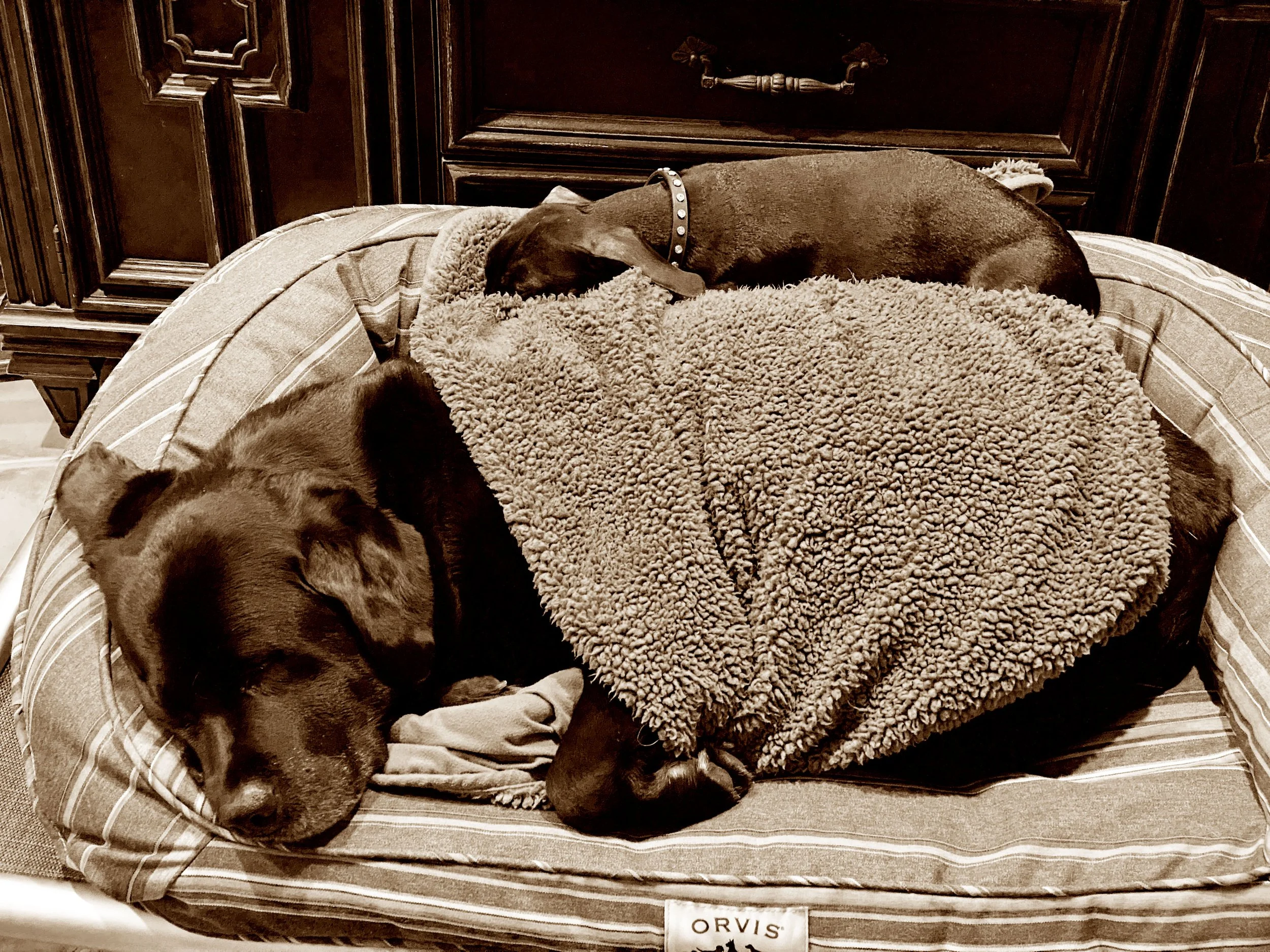 Rose & Biggie.jpg