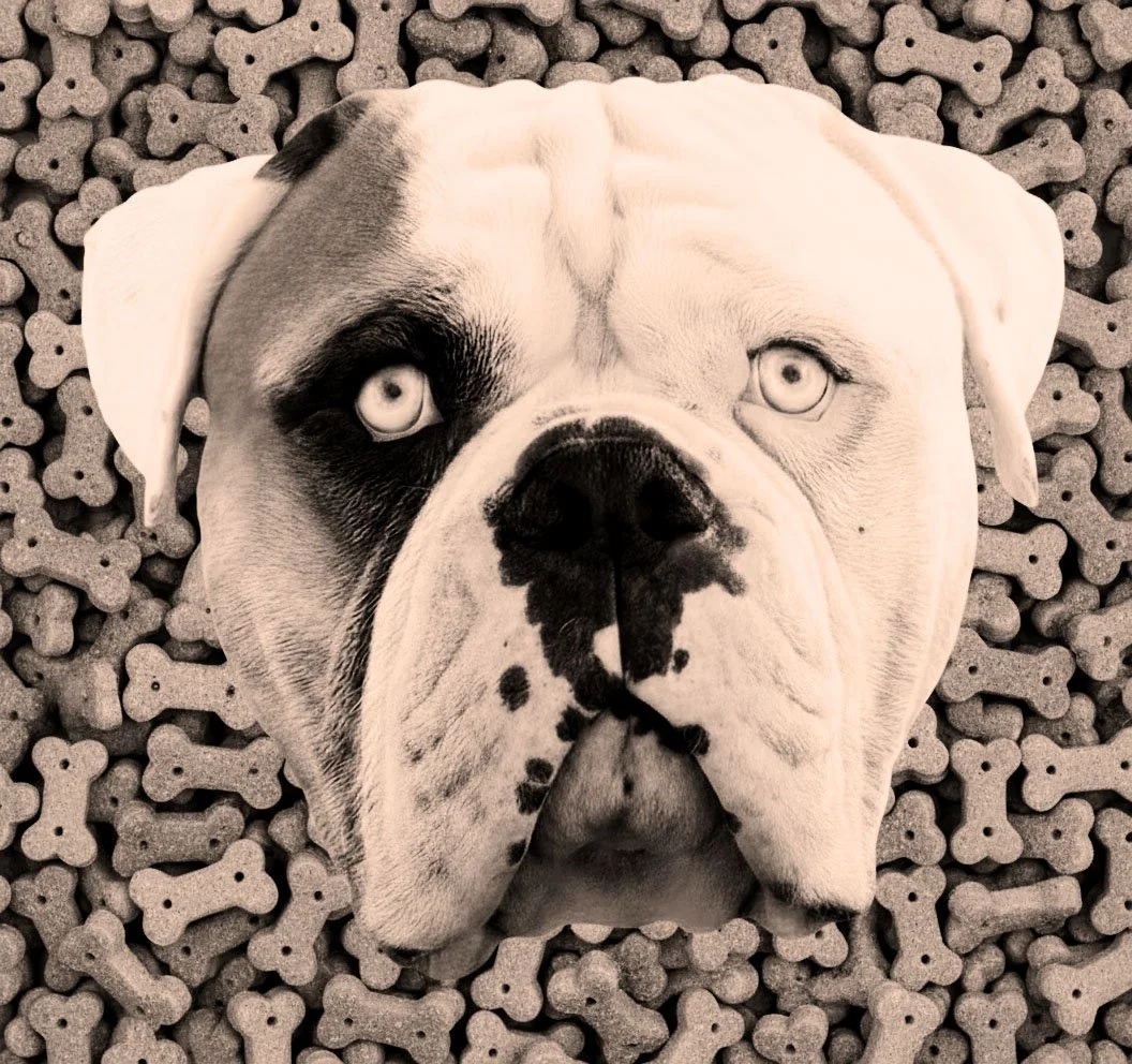 Biscuit with Buiscuits2.jpg