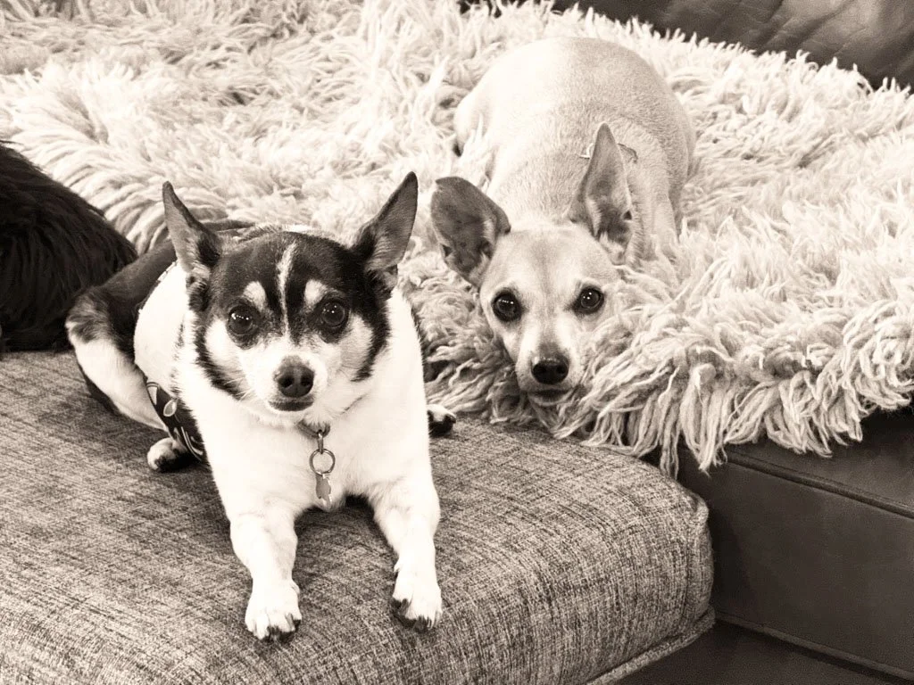 Benny & Mia.jpg