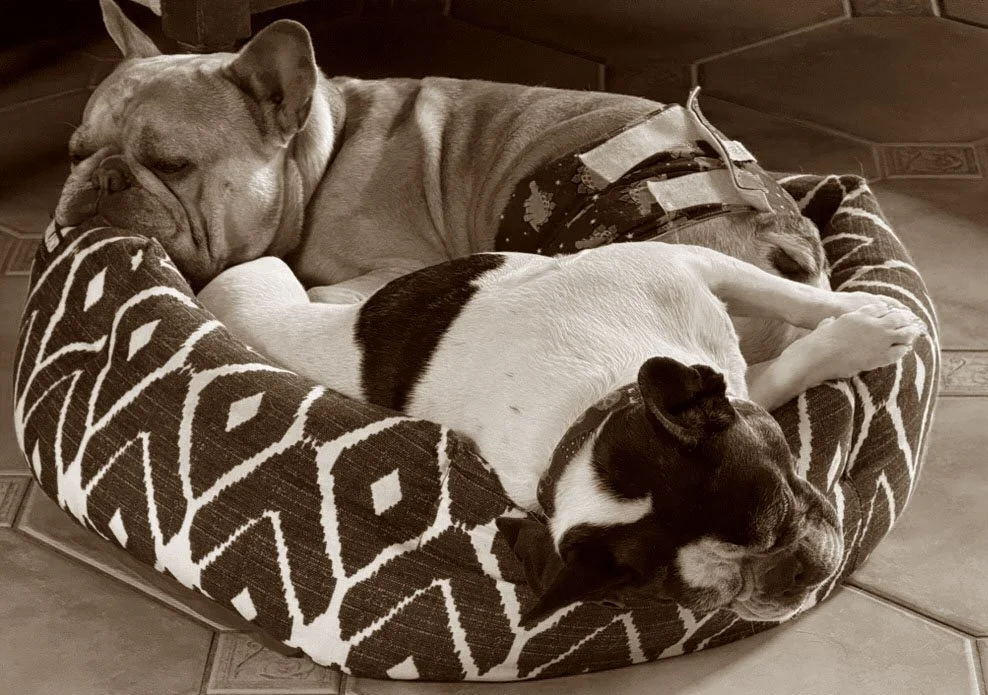 Gunther & Guneilla.jpg