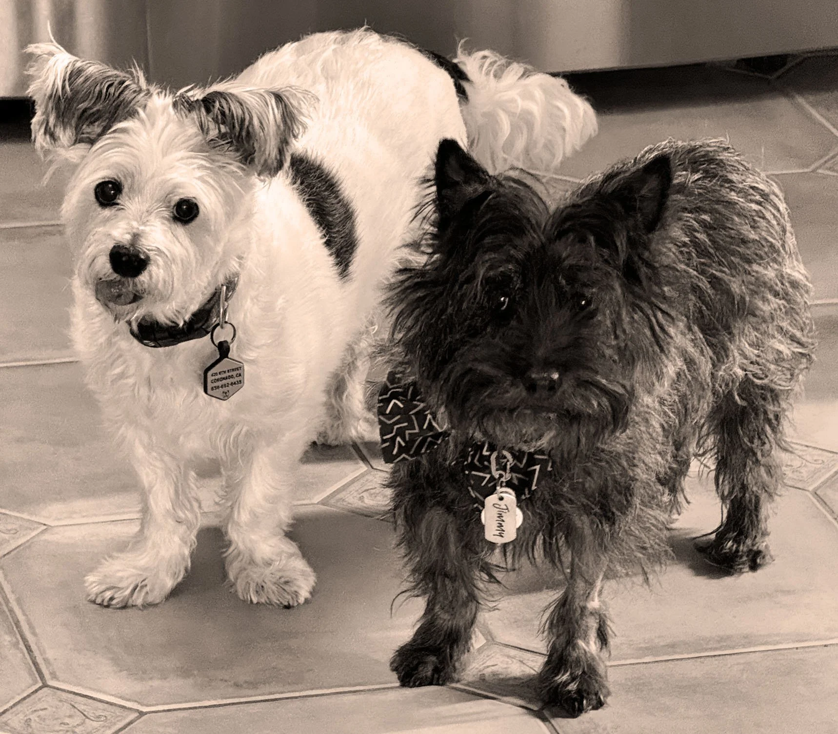 Jimmy & buddy.jpg