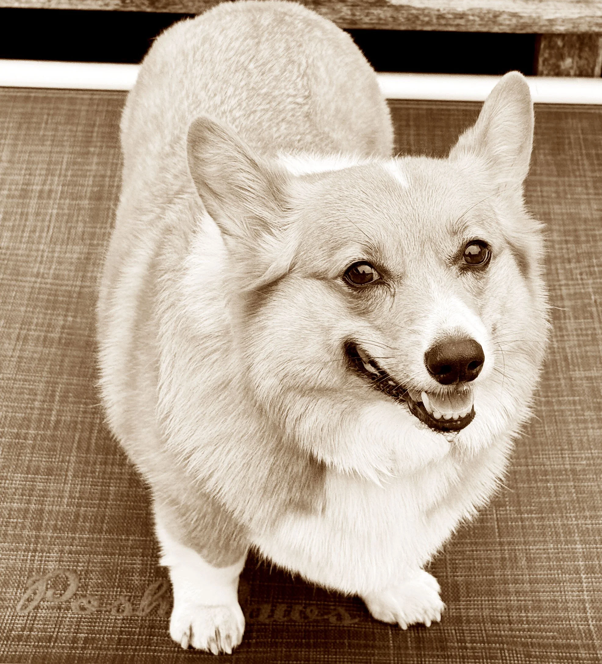 Lucy 3.jpg