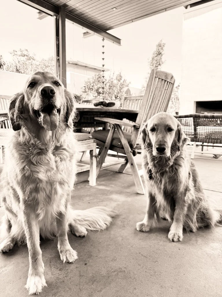 Nina & golden.jpg