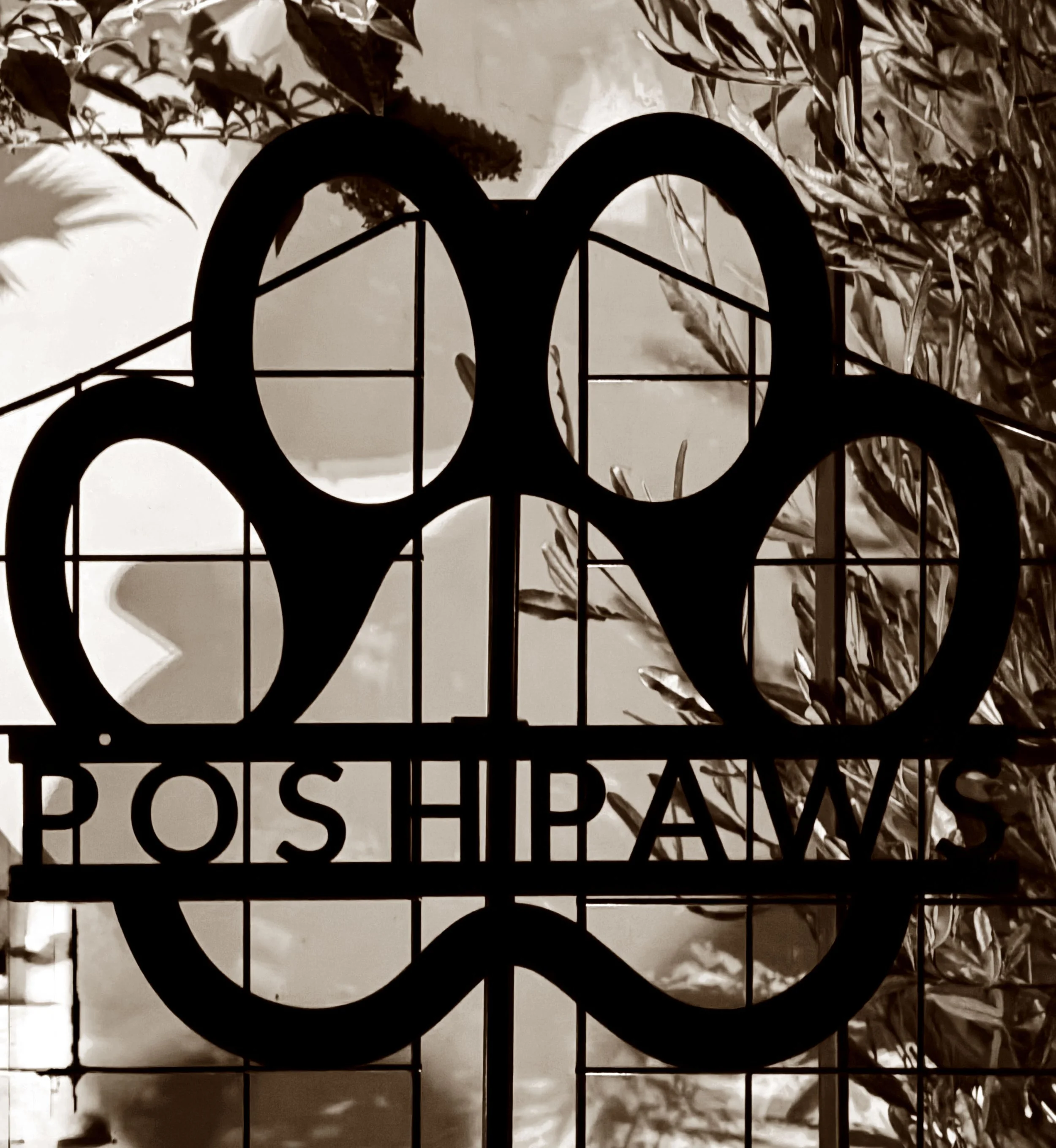 poshpaws sign.jpg