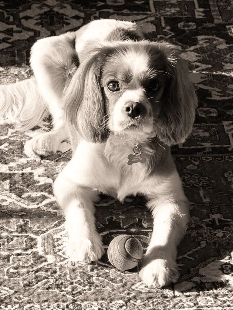 Sosuke & Ball.jpg