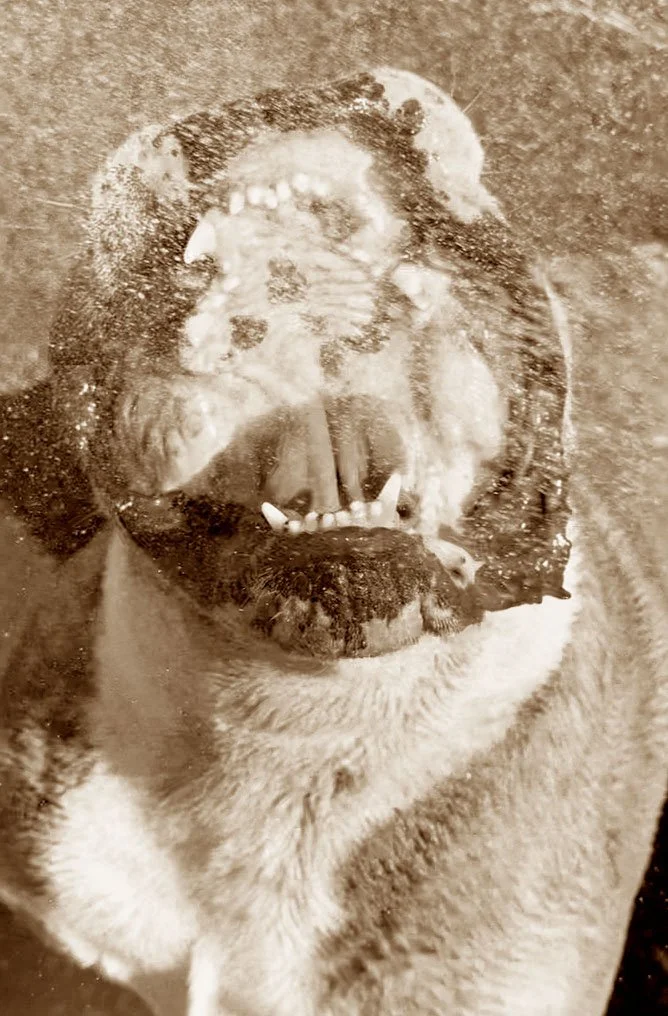 Choncho water.jpg