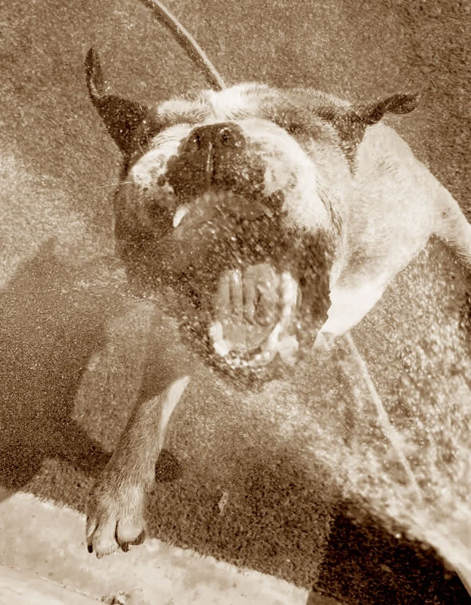 Choncho water2.jpg