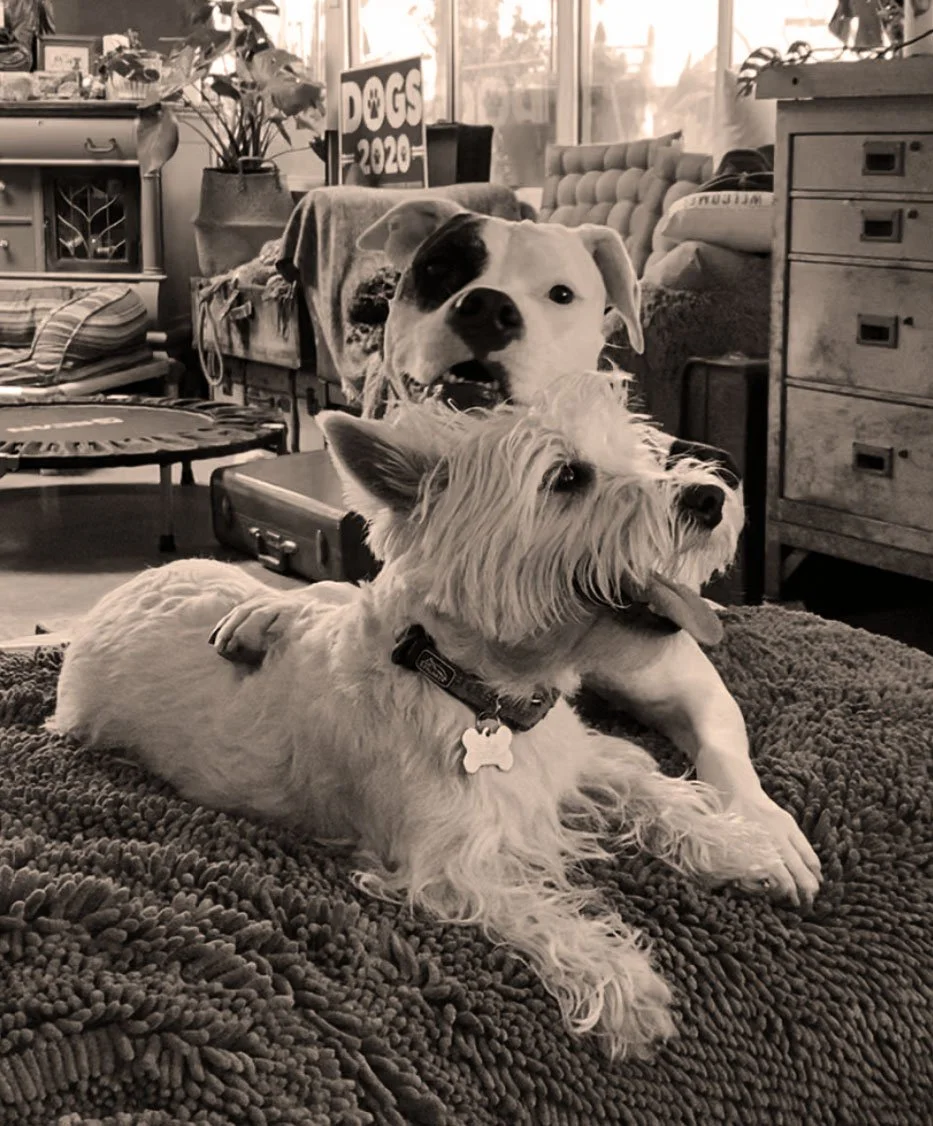 Cali & Luca.jpg