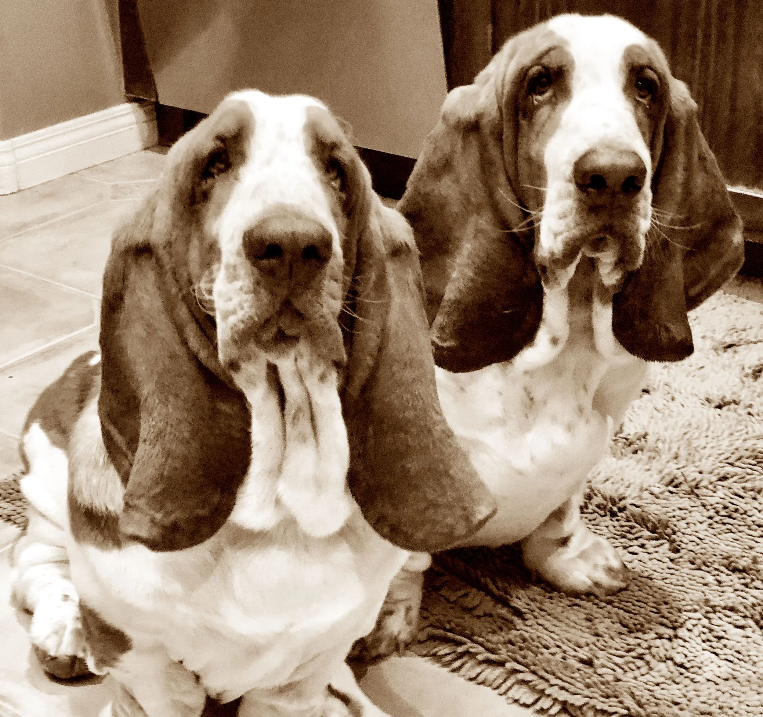 Aurther and Mr.Magoo.jpg