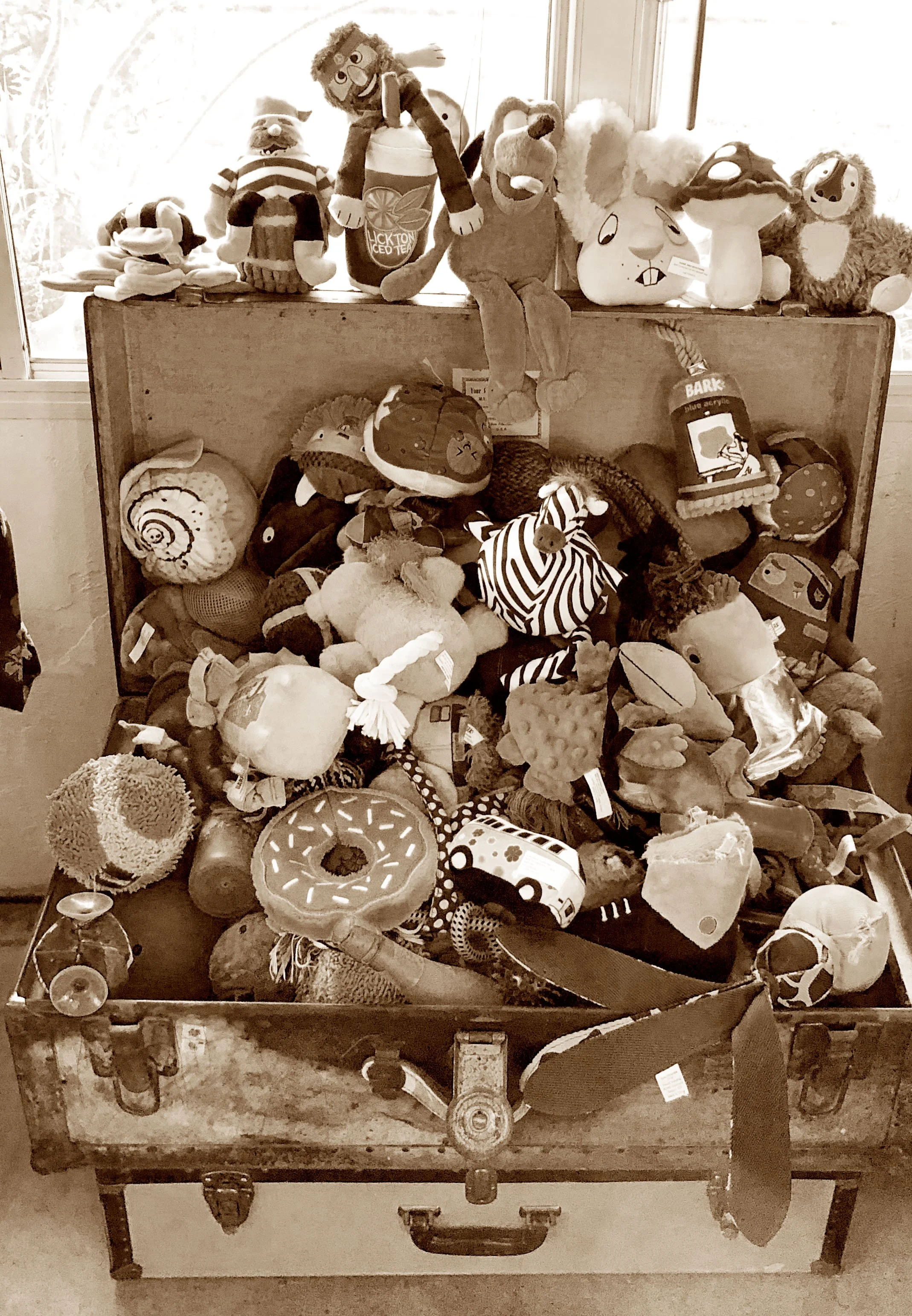 TOYS.jpg