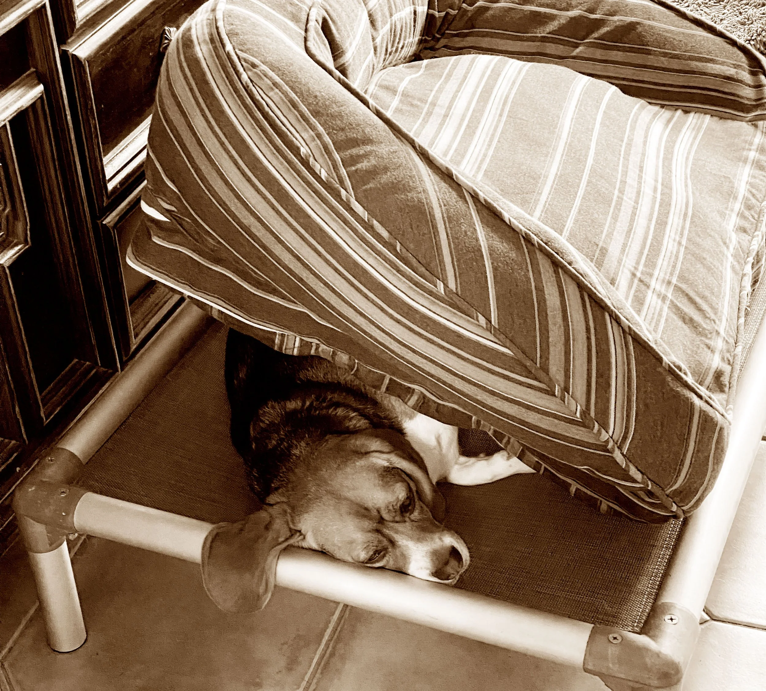jazzy bed.jpg
