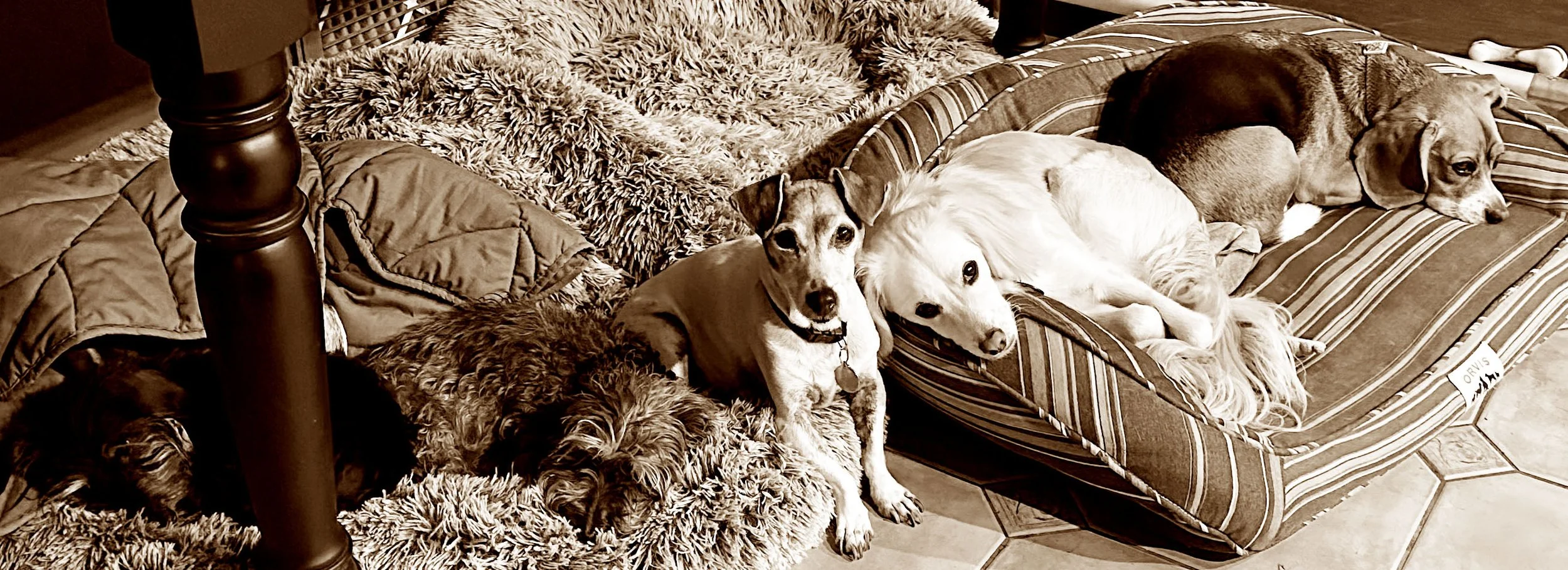 indie, jazzy and.jpg