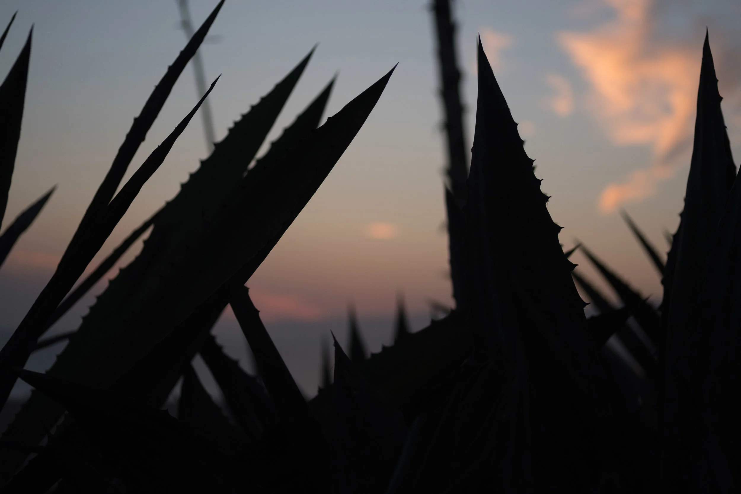 Shapes and Shadows in Sunsets 