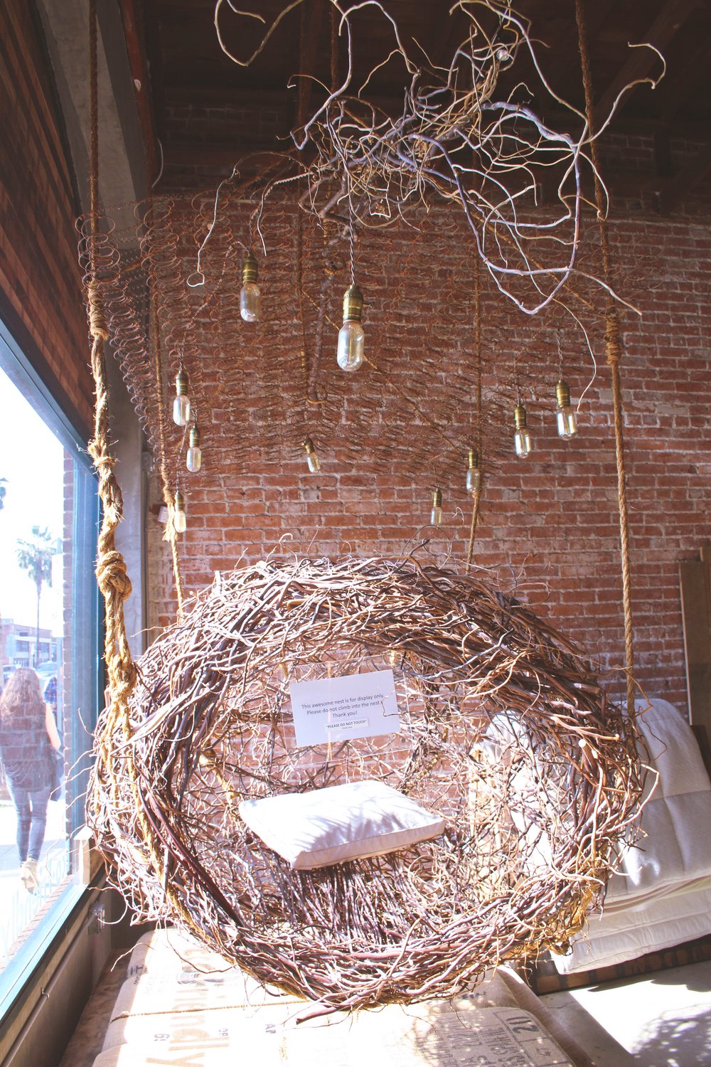 EP - store bird nest.jpg