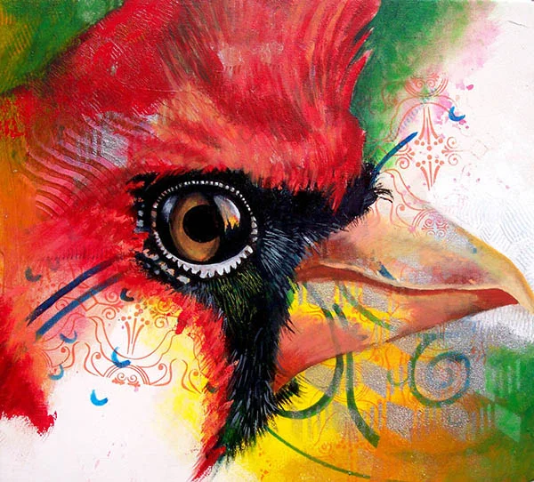 Cardinal by Marwin Begaye