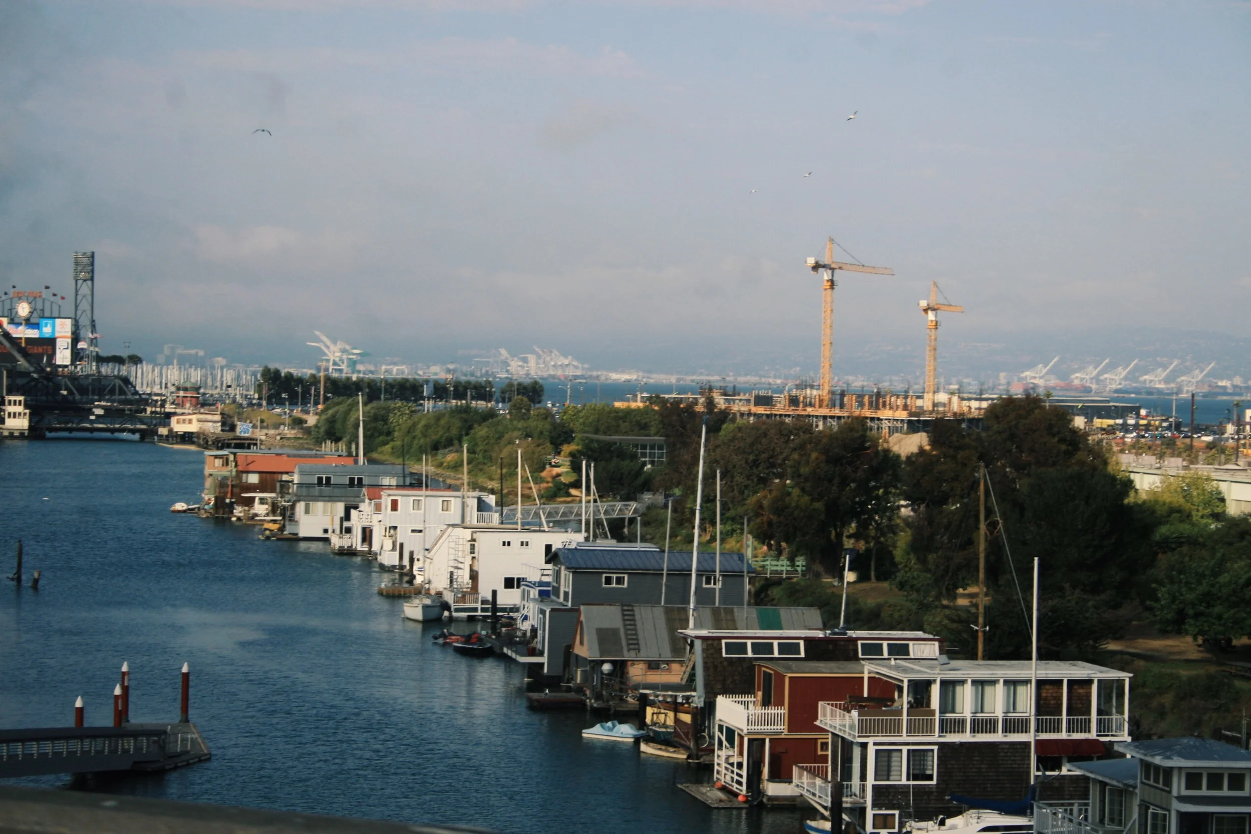 IMG_8325.JPG