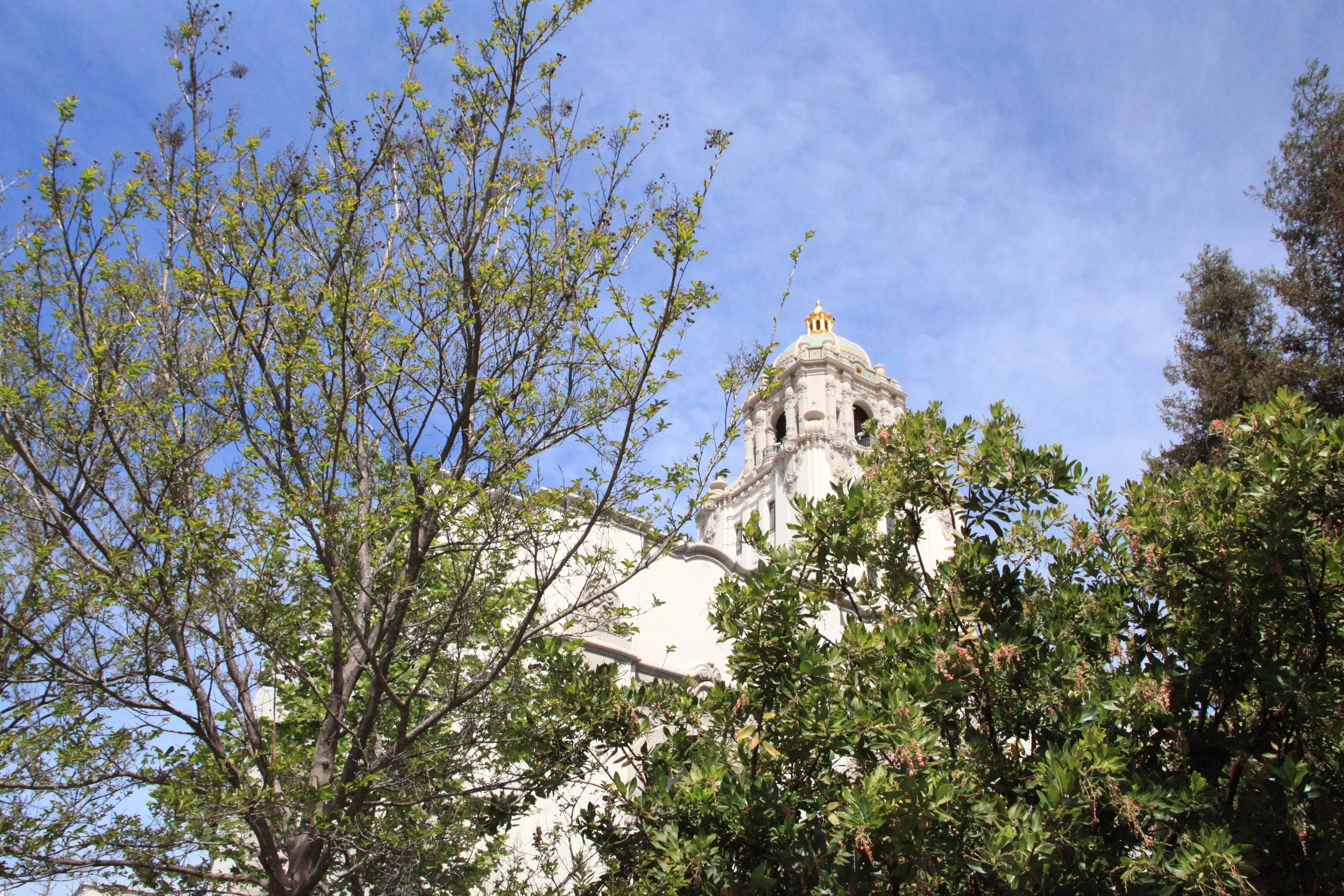 IMG_9876.jpg
