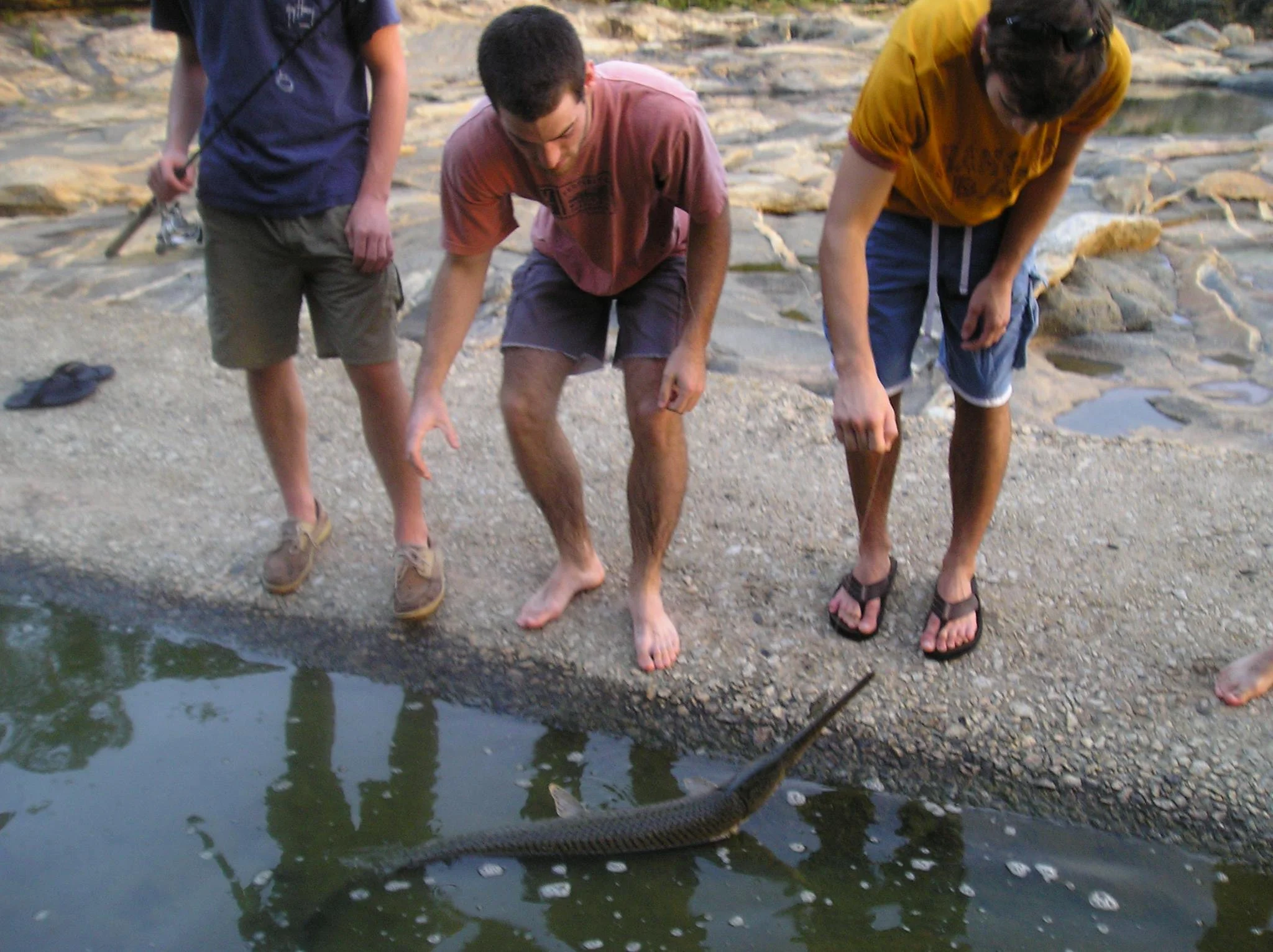 In memoriam: Matt Lewis