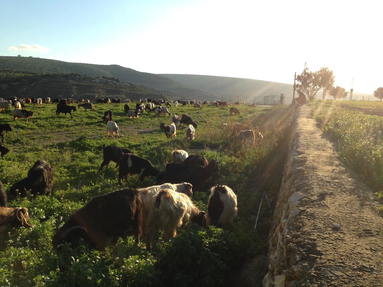 Time to make the donuts