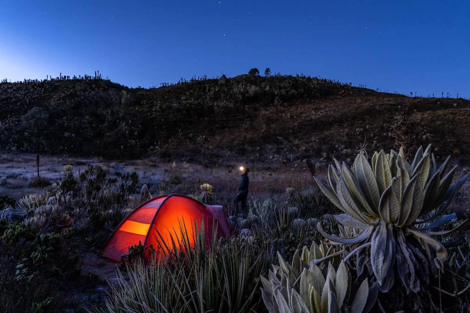 Páramo del Sol in Antioquia in Kolumbien