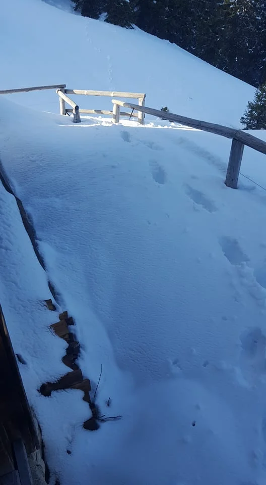 Tiefer Schnee rund um meine "Ferienwohnung". Da dies meine Spuren sind, nehme ich an, dass seit längerem niemand hier war.