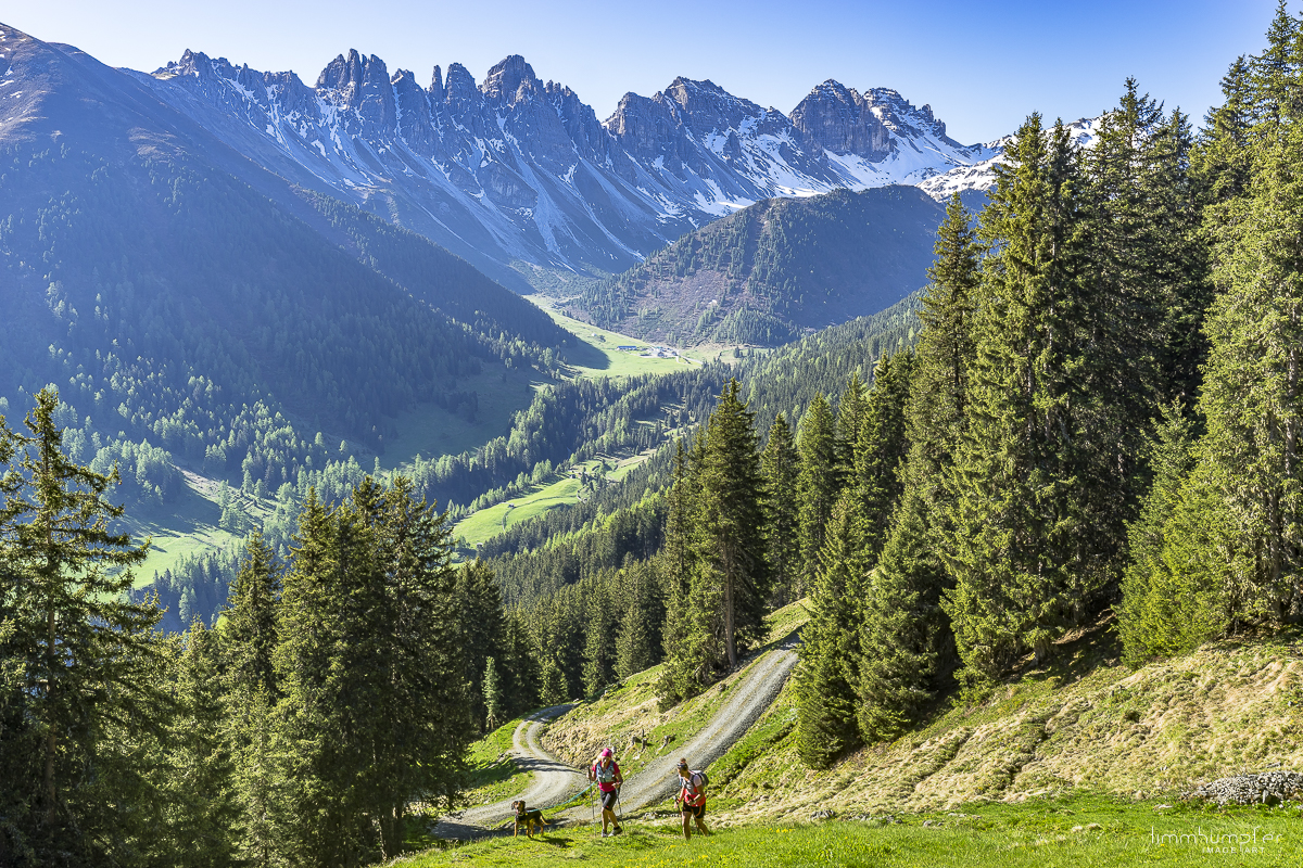 Übergang von Forstweg zu Bergpfad.