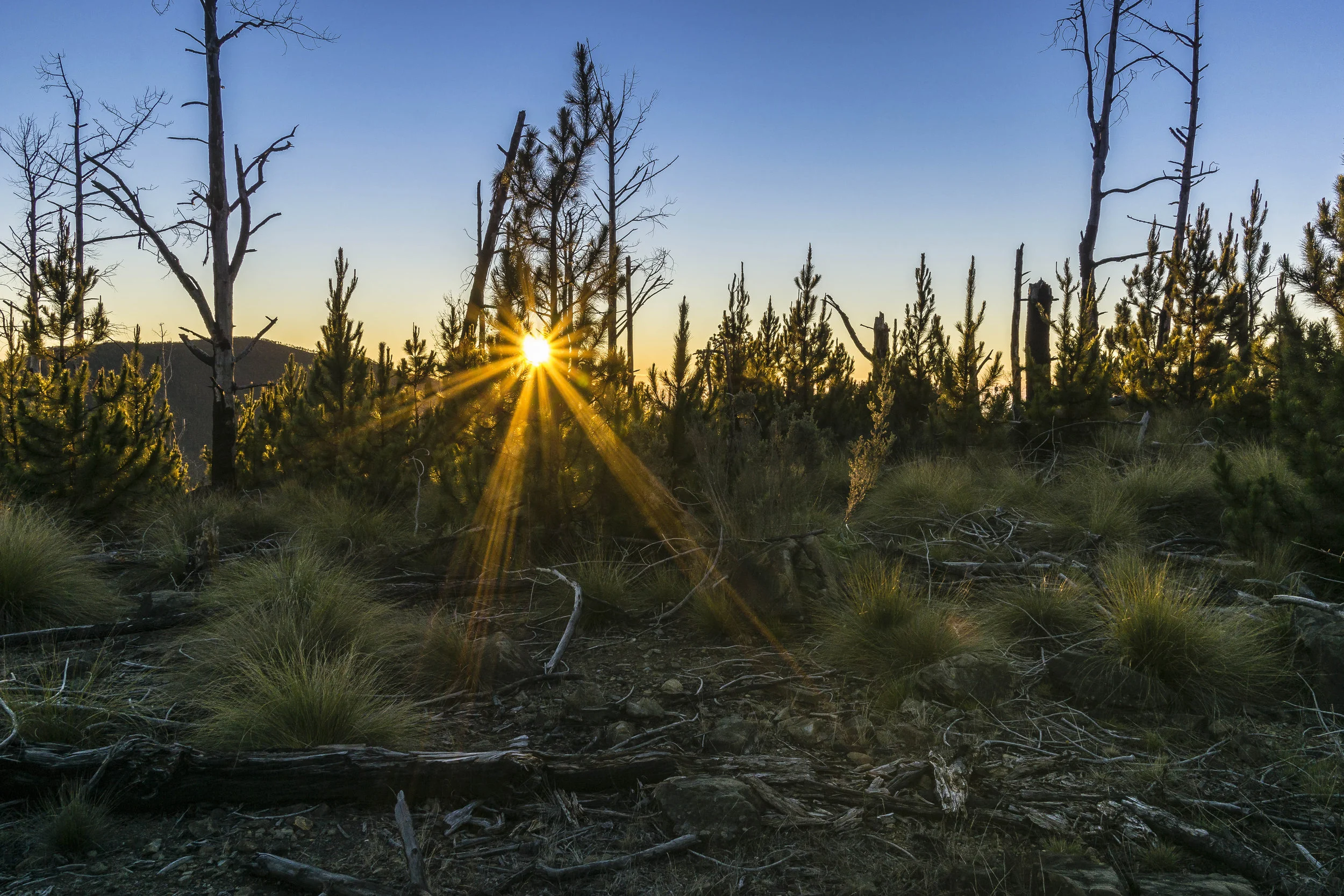 Sonnenaufgang knapp unterhalb des Gipfels. Für diese Aufnahme bin ich gegen 4:00 Uhr morgens mit einer anderen Gruppe, deren Guide ich vom Gleitschirmfliegen kannte, nochmals mit aufgestiegen, bzw. geritten. Einen zusätzlichen Fußmarsch ließen meine überdimensionierten Blasen nicht mehr zu, aber ein Eselsritt im Dunkeln hat auch so seine spannenden Momente!