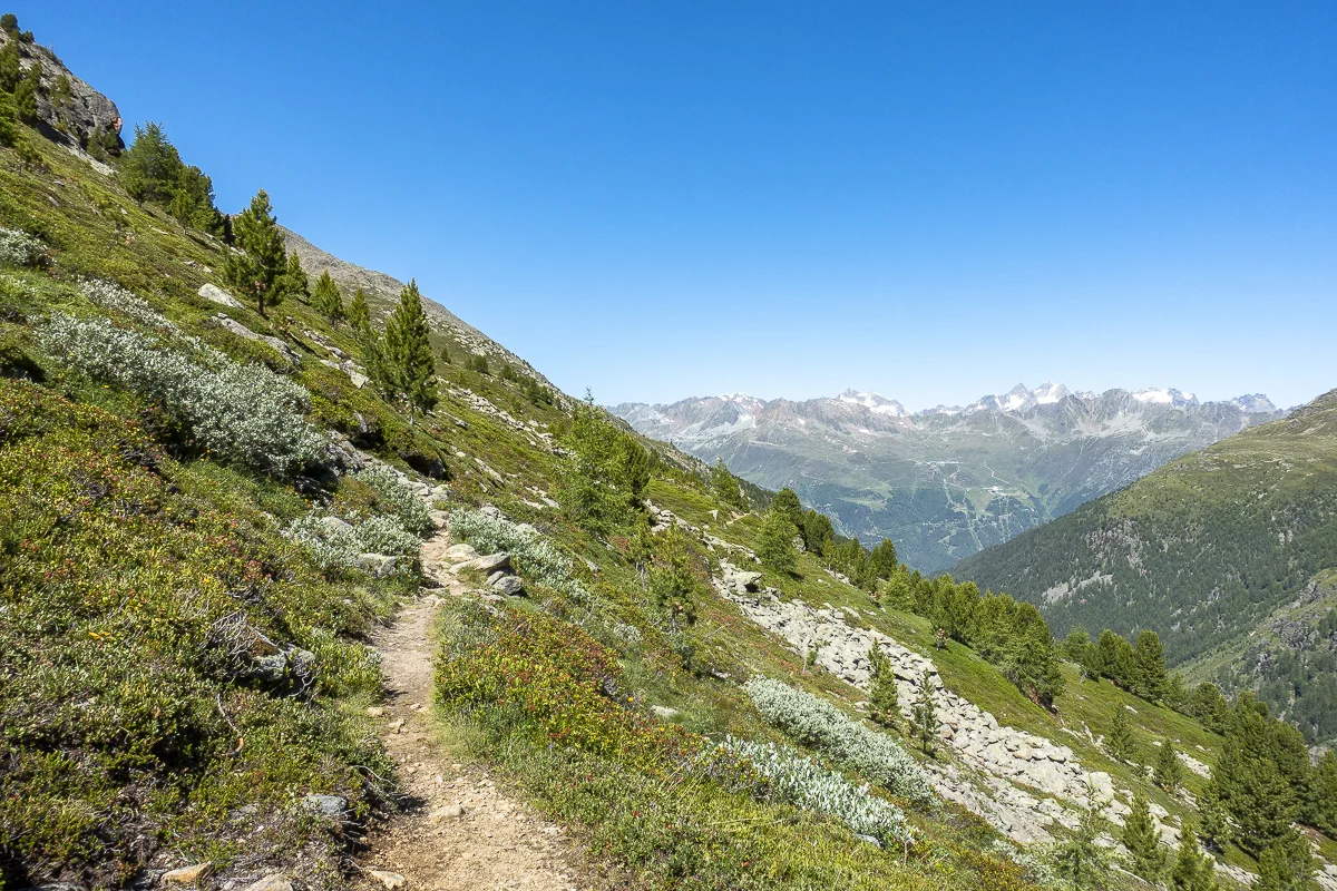 Sobald man den Wald verlässt, führt der Weg aussichtsreich am Hang entlang.