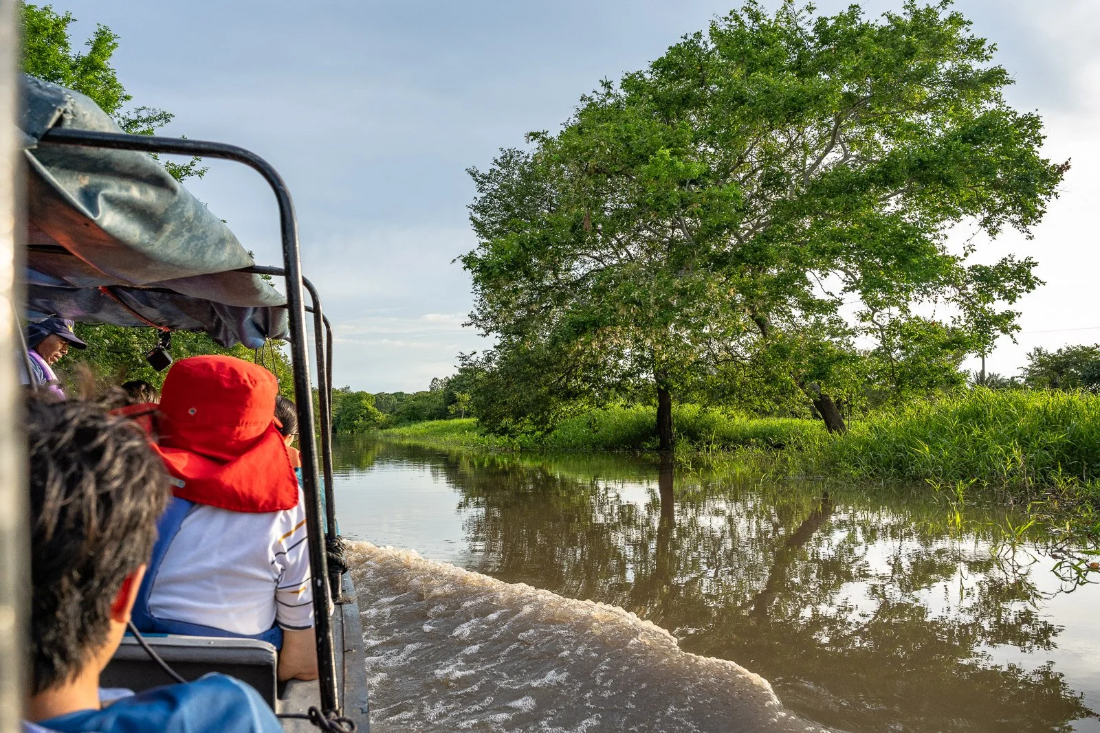  Bootstour durch die Ciénaga de Pijiño bei Mompox, mit Blick auf Wasserwege, Ufervegetation und ein Ausflugsboot im Vordergrund. 