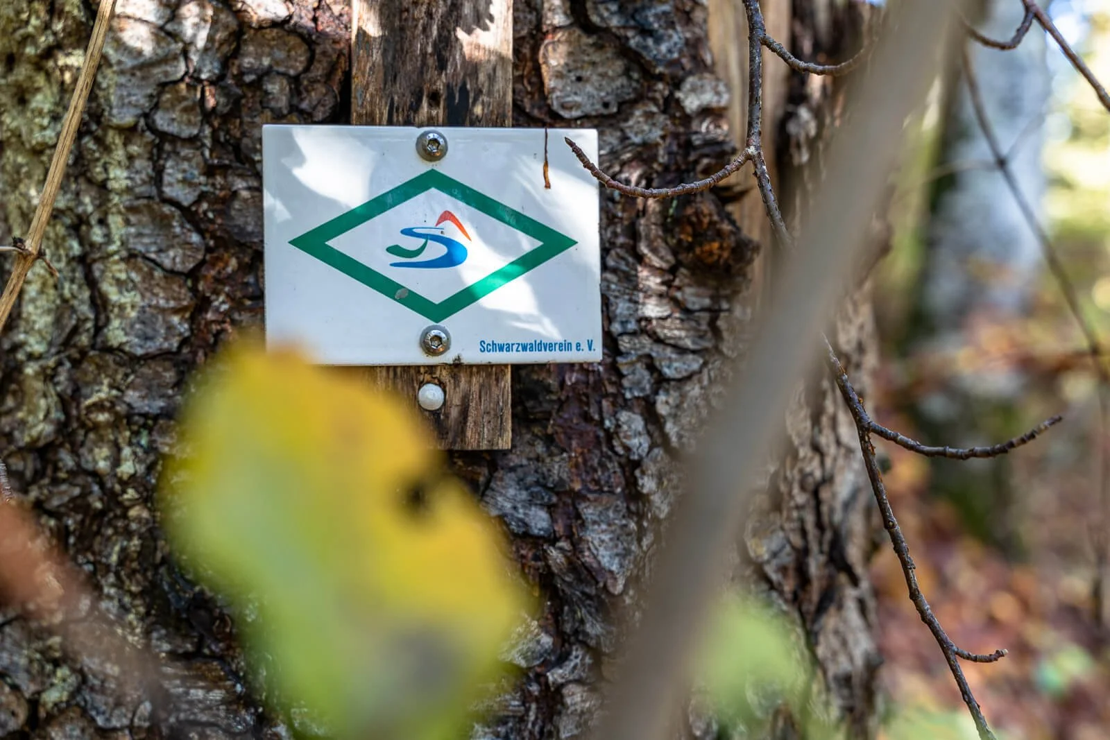  Wegmarkierung des Schluchtensteigs am Baum im Schwarzwald 