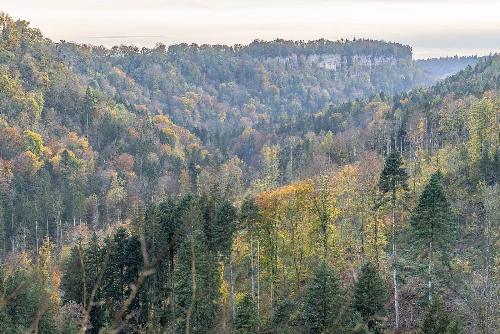  Herbstlicher Wald in der Wutachschlucht entlang des Schluchtensteigs im Schwarzwald 