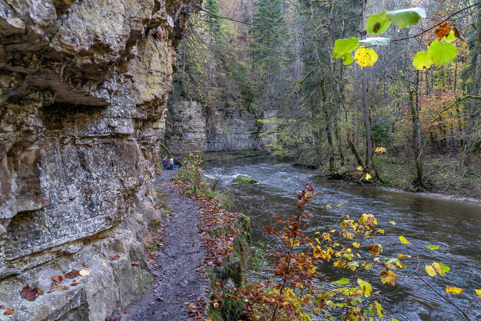  Schmaler Wanderweg entlang der Wutach in der Wutachschlucht am Schluchtensteig 