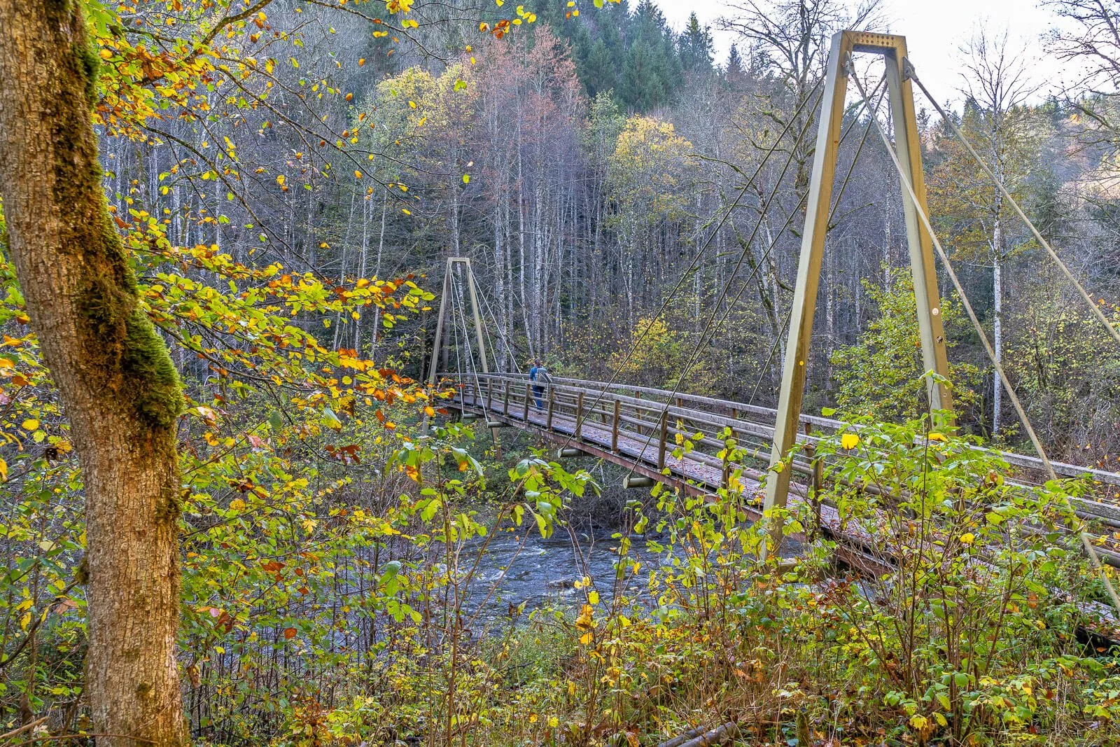  Rümmelesteg über die Wutach in der Wutachschlucht am Schluchtensteig 