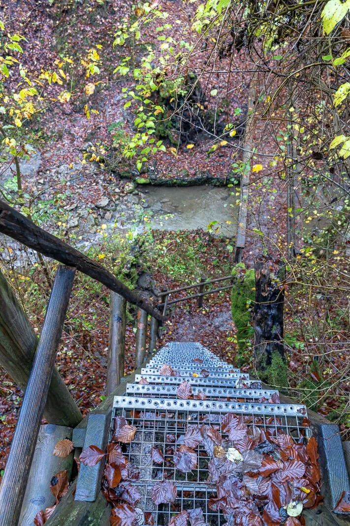  Metalltreppe am Schleifenbachwasserfall entlang des Schluchtensteigs im Schwarzwald 