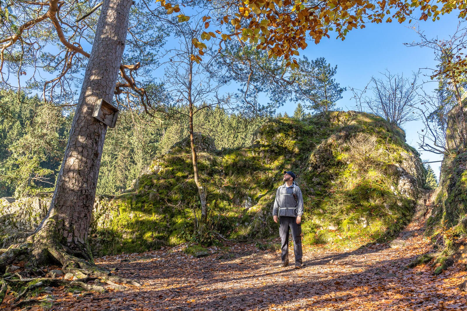  Wanderer im Herbstwald nahe dem Räuberschlössle am Schluchtensteig im Schwarzwald 