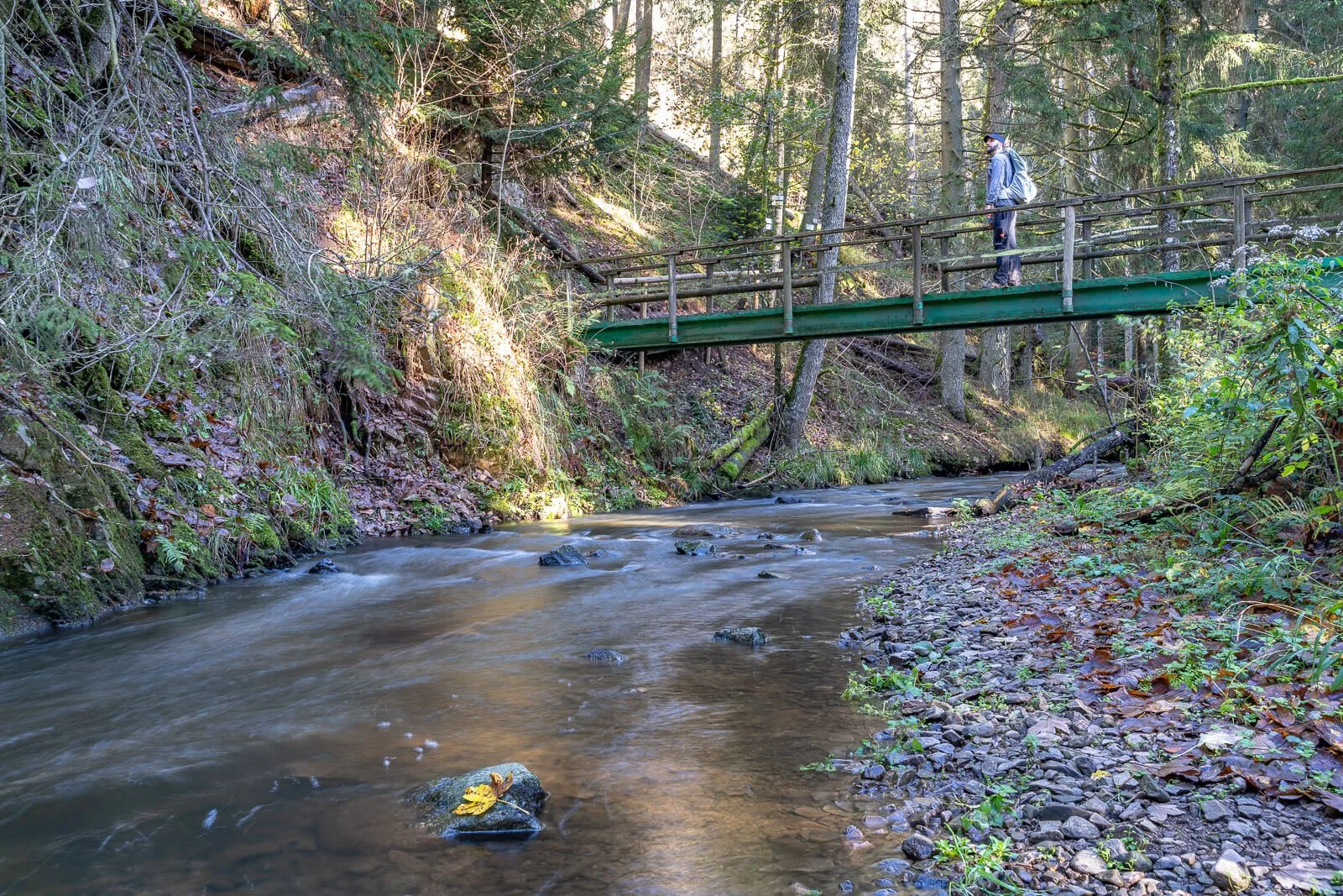  Wanderer auf Brücke über einen Bach am Schluchtensteig im Schwarzwald 